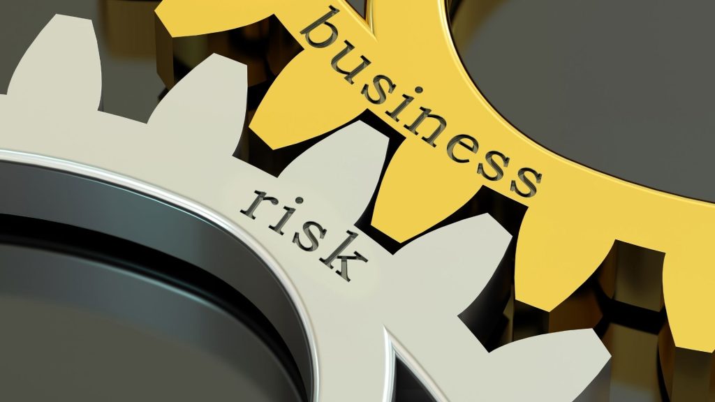 business risk factors