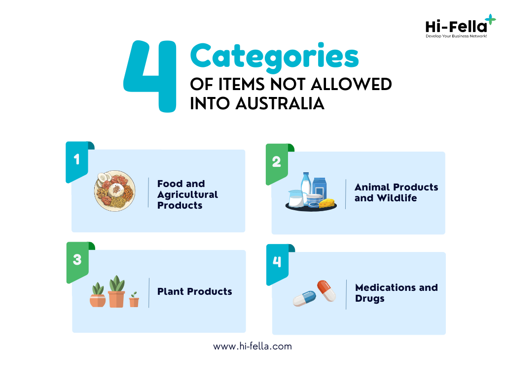Categories of Items Not Allowed into Australia