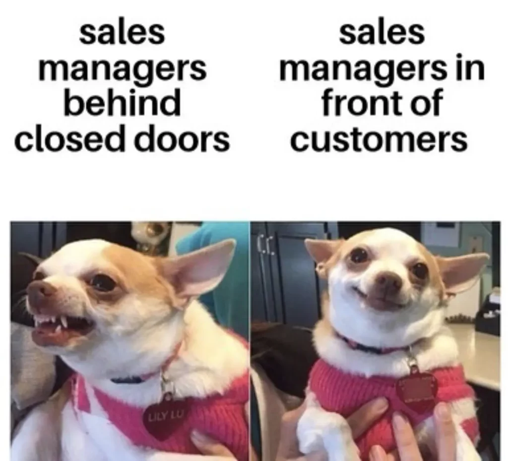 funny sales memes about sales profession