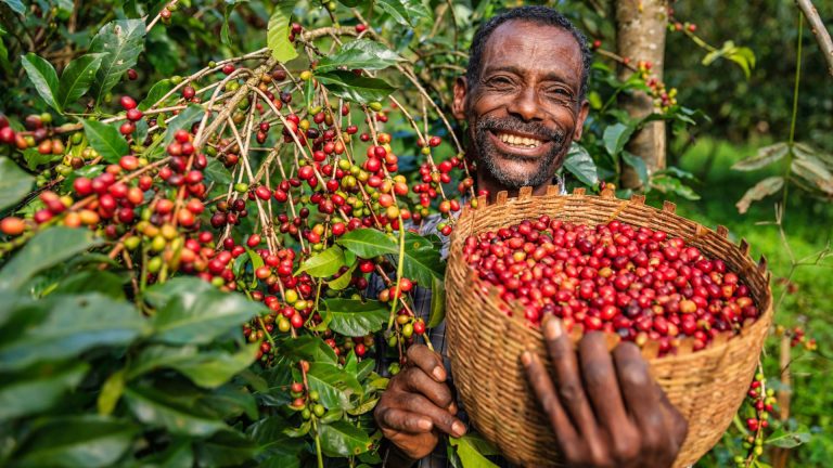 Natural Resources of East Africa