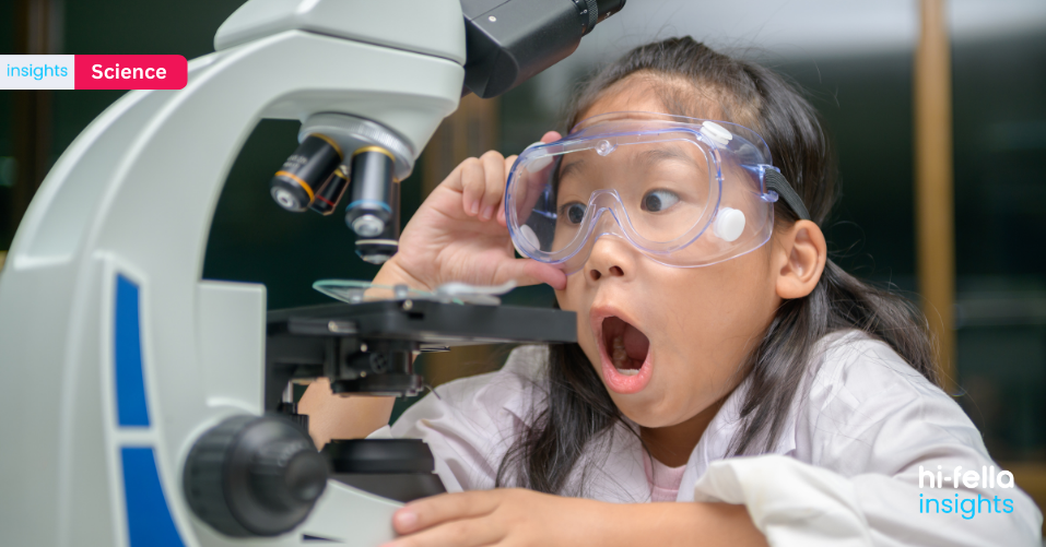 Daftar Peringkat Negara dengan Science Terbaik Berdasarkan Riset Global