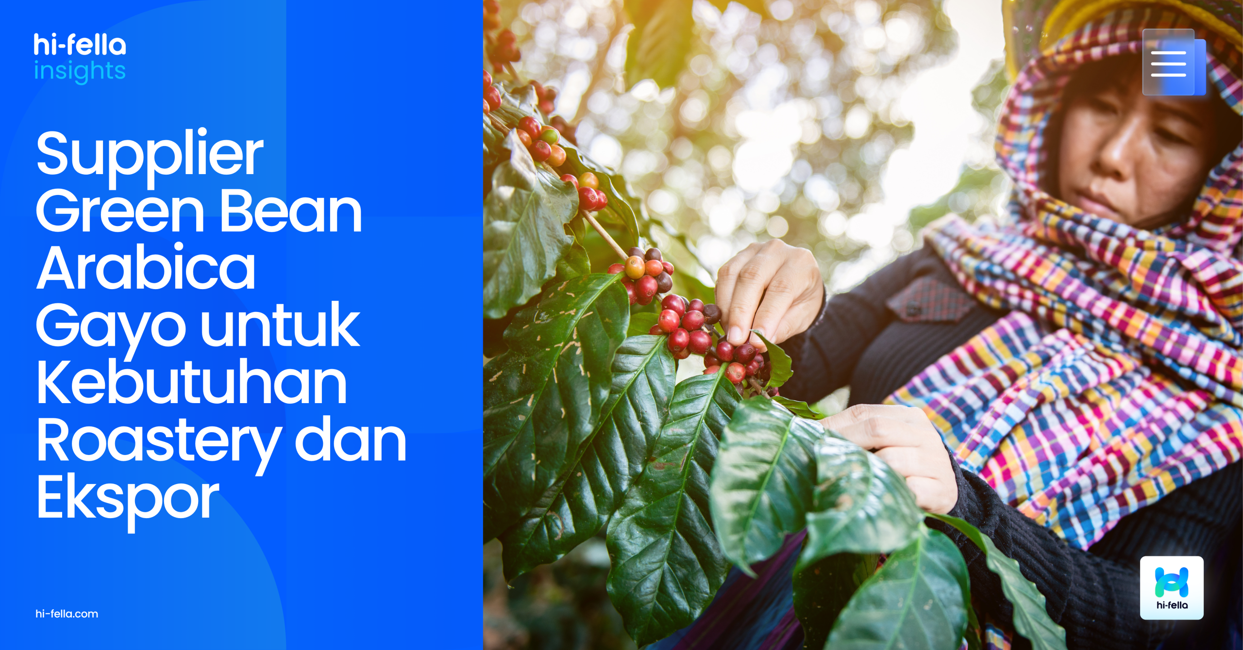 Supplier Green Bean Arabica Gayo untuk Kebutuhan Roastery dan Ekspor