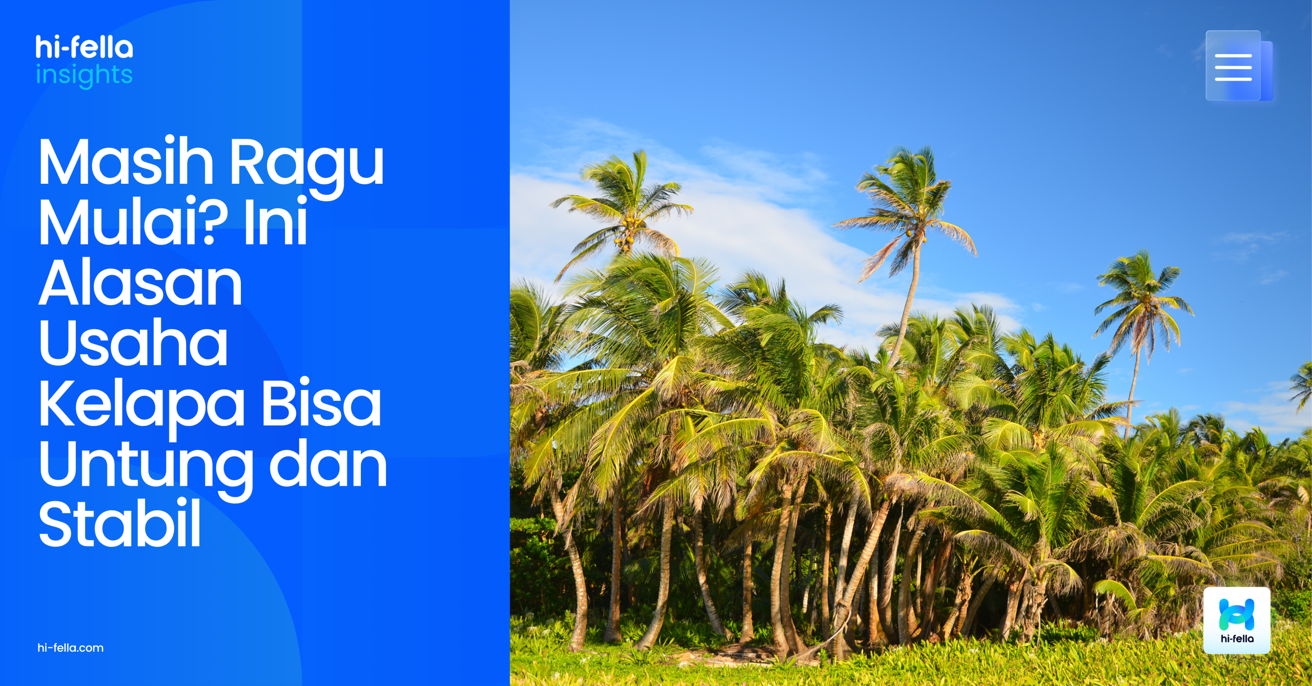 Masih Ragu Mulai? Ini Alasan Usaha Kelapa Bisa Untung dan Stabil