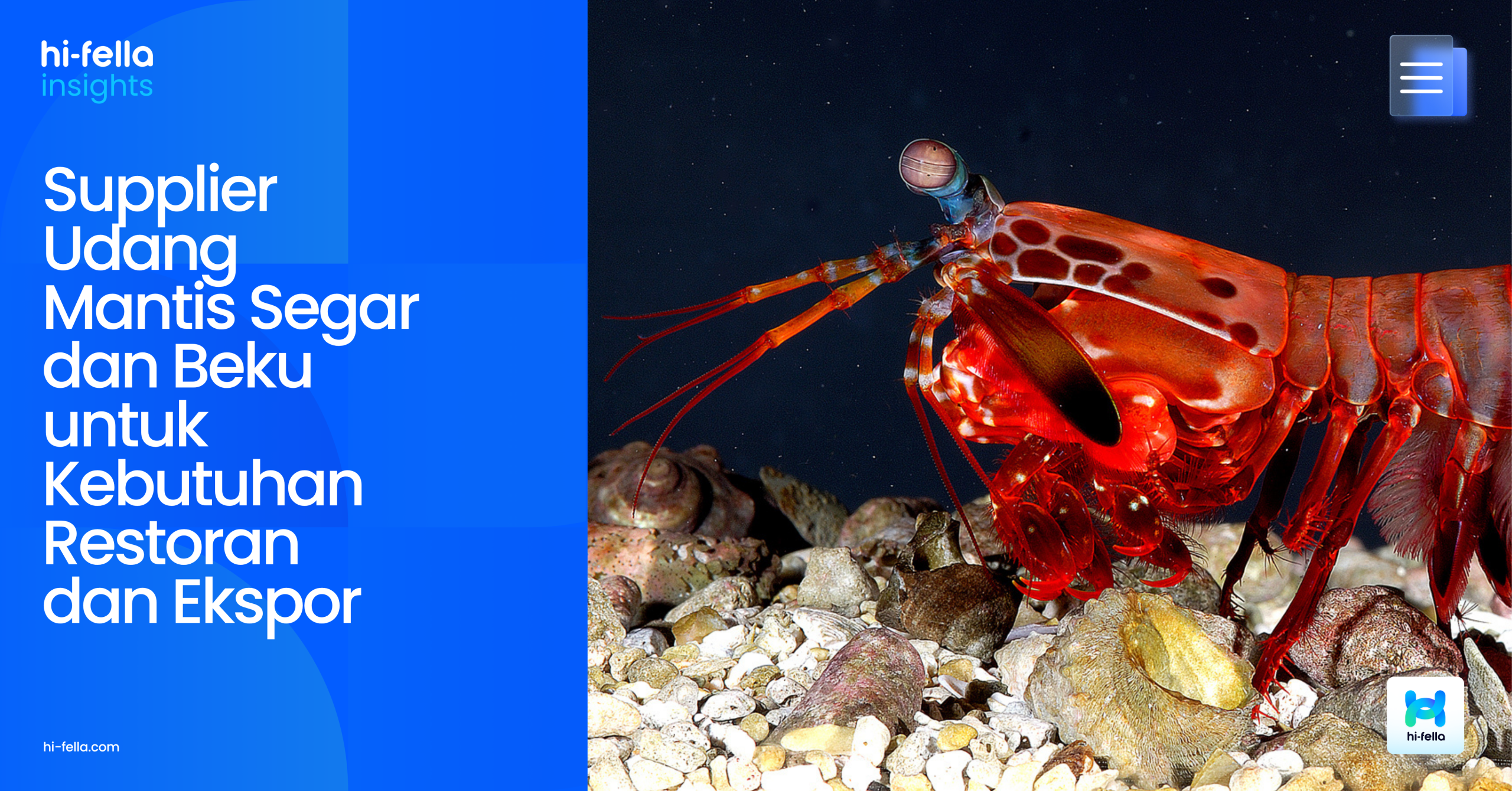 Supplier Udang Mantis Segar dan Beku untuk Kebutuhan Restoran dan Ekspor