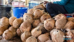 Manfaat Sabut Kelapa untuk Pertanian, Peternakan, dan Energi Terbarukan
