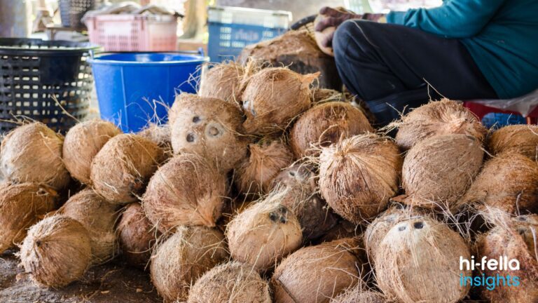 Manfaat Sabut Kelapa untuk Pertanian, Peternakan, dan Energi Terbarukan