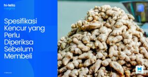 Spesifikasi Kencur yang Perlu Diperiksa Sebelum Membeli
